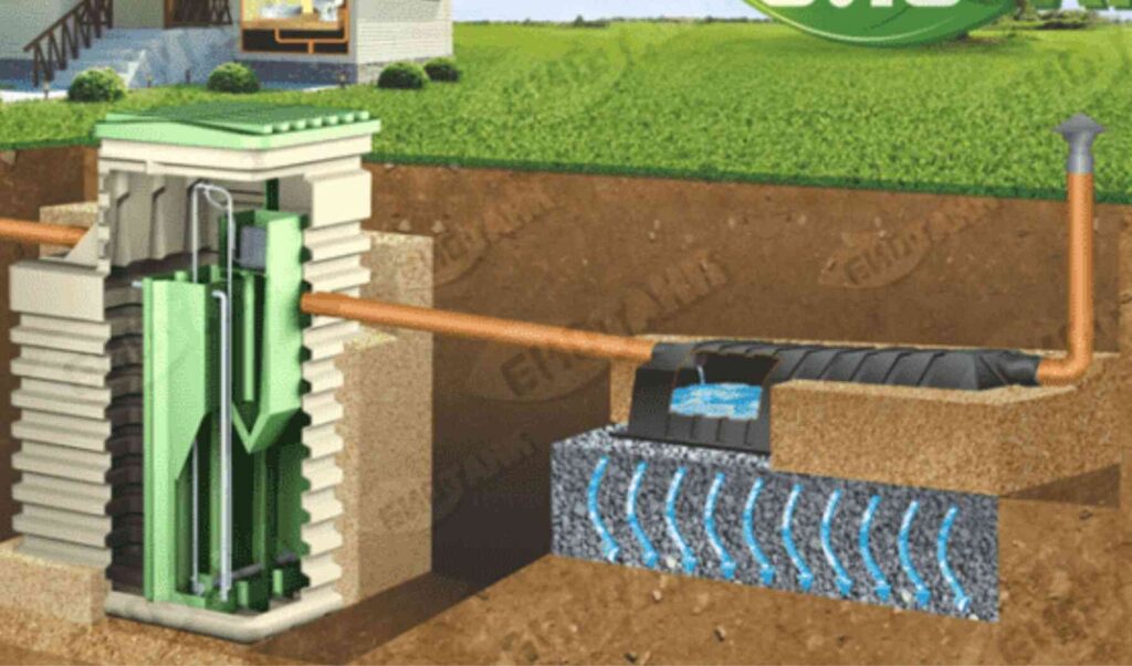 Биосептик в Беларуси в наличии заказать